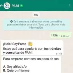 PAMI lanzó la atención por WhatsApp para Jubilados: cómo utilizarla