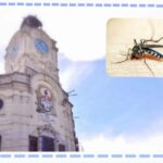 Paraná: a punto de declararse la emergencia sanitaria por dengue