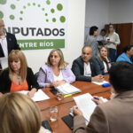 La Comisión de Juicio Político rechazó las denuncias contra Susana Medina