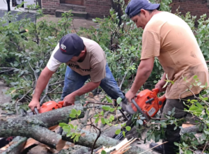 La Paz: el municipio interviene en distintos puntos de la ciudad luego del temporal
