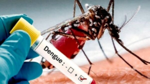 Confirmaron tres casos de dengue en Entre Ríos y se detectó una nueva variante