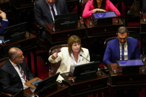 El Senado nacional empieza a debatir la reforma electoral