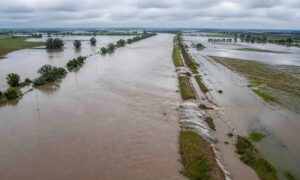 El Niño será «muy intenso» y podría provocar lluvias extraordinarias y crecidas históricas