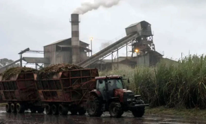Industriales alertan por los cortes de gas que afectan al sector fabril del Noroeste y el Litoral