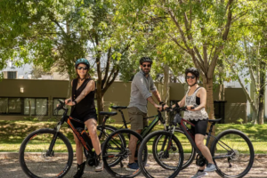 La bicicleta gana terreno: cuánto cuesta una de buena calidad y por qué cada vez más personas dejan el auto