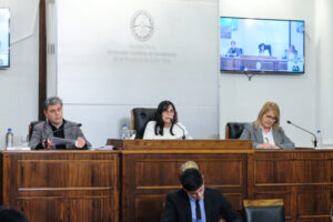 El Senado convirtió en ley la reglamentación del artículo 60 de la Constitución