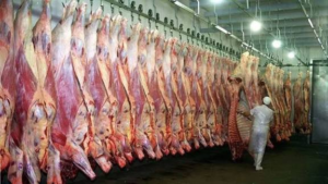Mientras cae el consumo interno, las exportaciones de carne aumentaron 6,7% en 2026