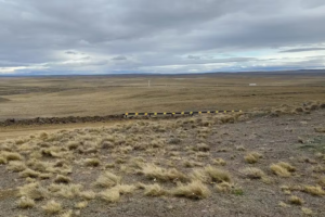Desde Unión por la Patria proponen endurecer las restricciones a la extranjerización de las tierras