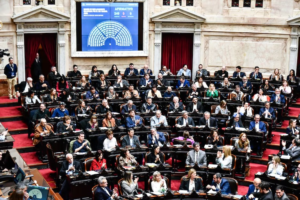 Diputados: tras aprobar la Ley de Propiedad Privada y la restitución de la Ley de Tierras, debaten discapacidad y deudas familiares