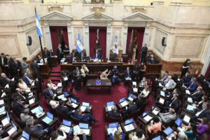 El Senado debatirá la reforma de la Ley de Salud Mental, que habilita internaciones involuntarias